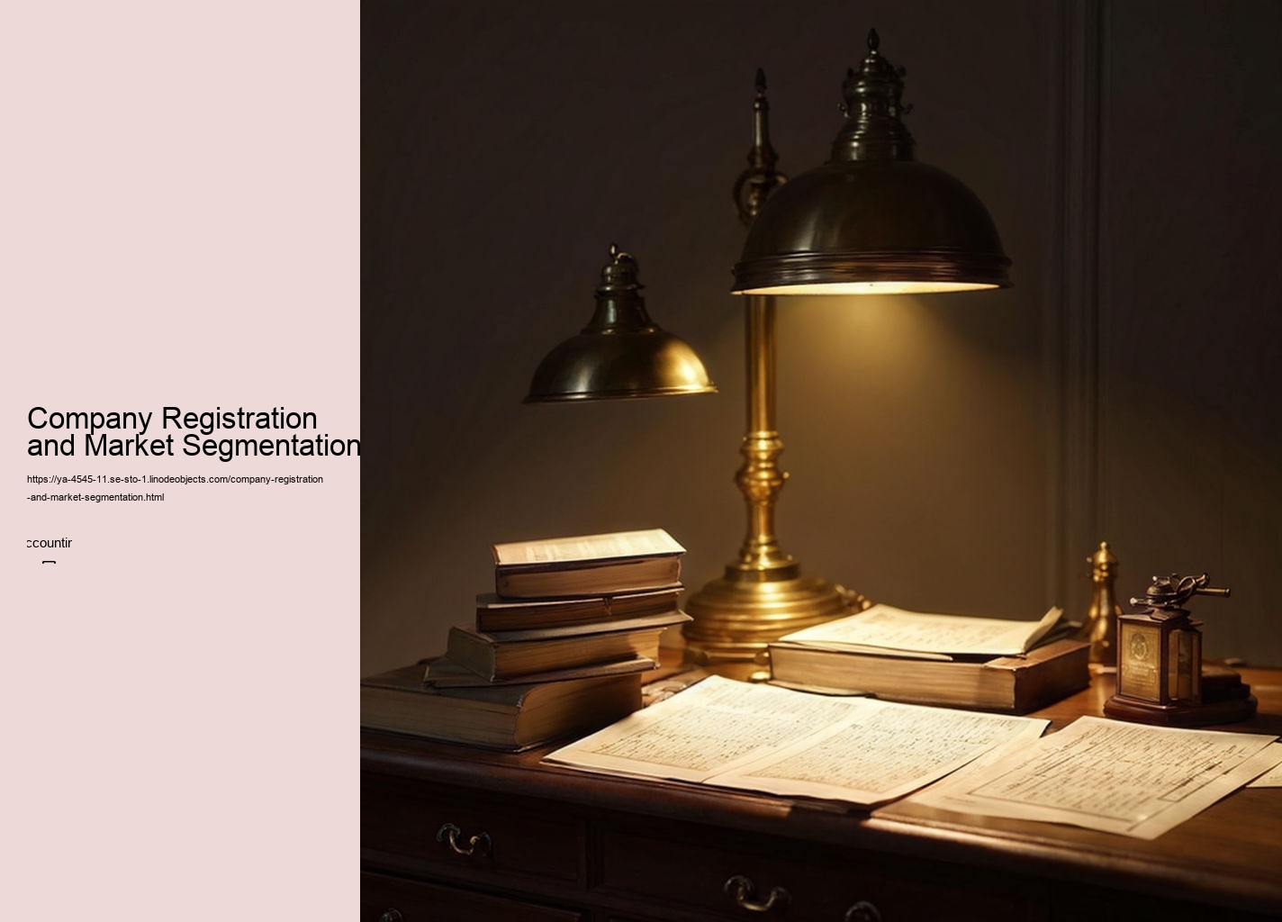 Company Registration and Market Segmentation